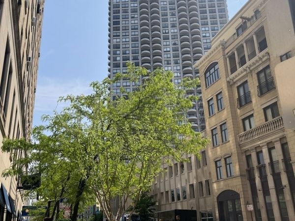 2020 N Lincoln Park West , Unit 31C, Chicago, IL 60614