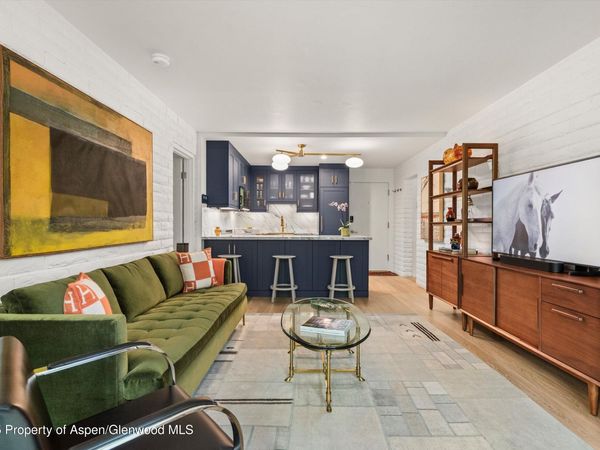 332 Vine Street, Aspen, CO 81611