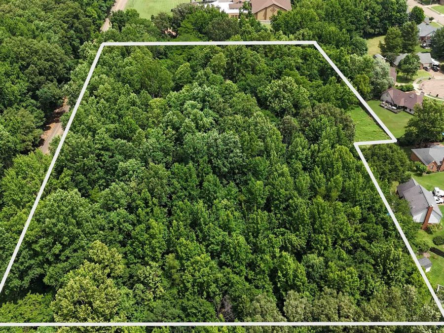 Property Image 4