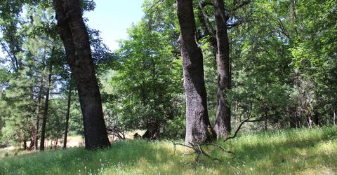 21785 Hwy 26, West Point, CA 95255 Photo