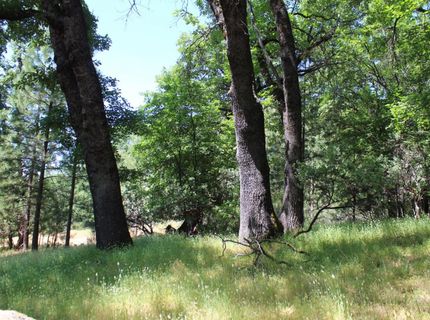 21785 Hwy 26, West Point, CA 95255 Photo