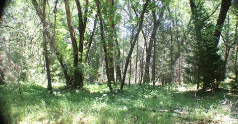 21785 Hwy 26, West Point, CA 95255 Photo