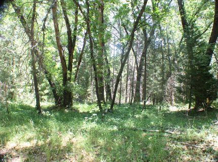 21785 Hwy 26, West Point, CA 95255 Photo