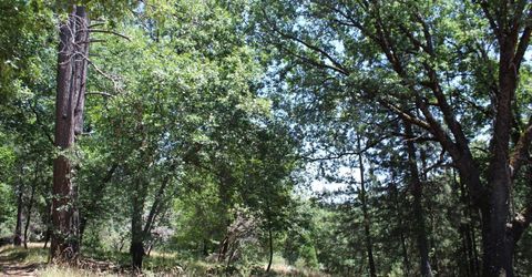 21785 Hwy 26, West Point, CA 95255 Photo
