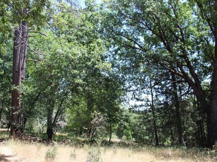 21785 Hwy 26, West Point, CA 95255 Photo
