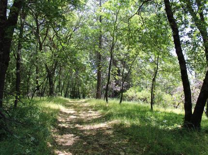 21785 Hwy 26, West Point, CA 95255 Photo