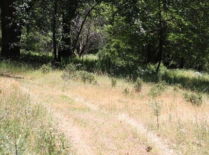 21785 Hwy 26, West Point, CA 95255 Photo