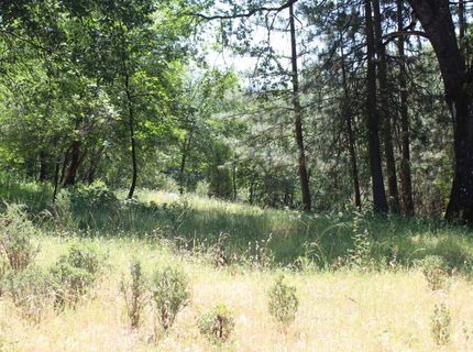 21785 Hwy 26, West Point, CA 95255 Photo
