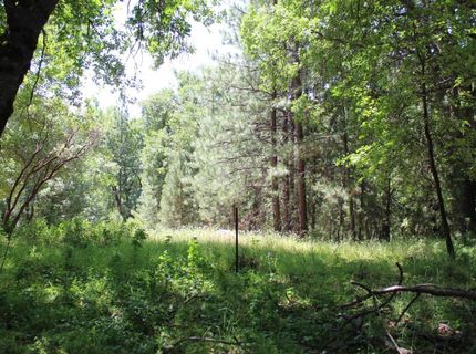 21785 Hwy 26, West Point, CA 95255 Photo