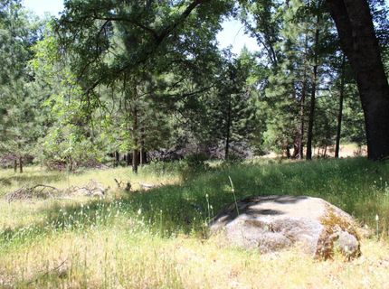 21785 Hwy 26, West Point, CA 95255 Photo