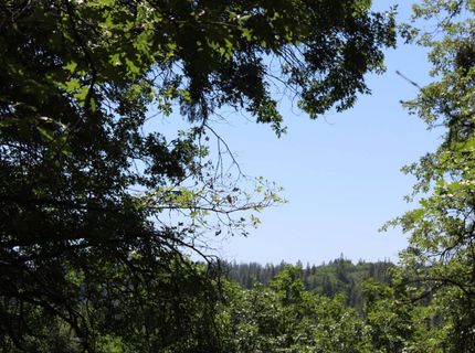 21785 Hwy 26, West Point, CA 95255 Photo