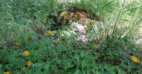 21785 Hwy 26, West Point, CA 95255 Photo
