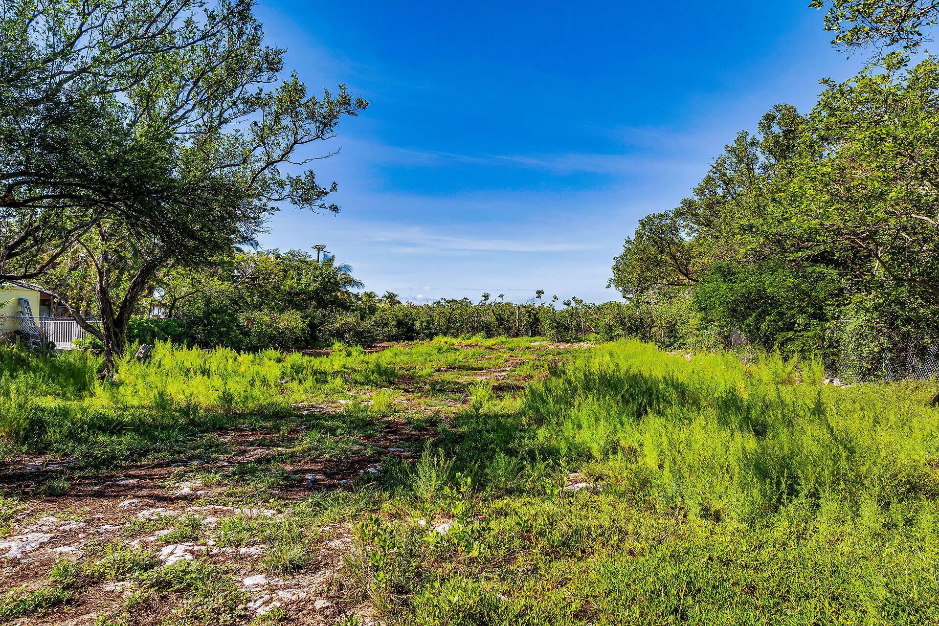 229 Coral Road, Islamorada, FL 33036 Photo