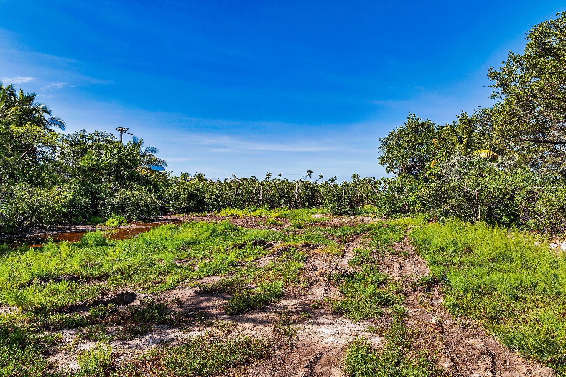 229 Coral Road, Islamorada, FL 33036 Photo