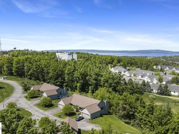 2015 Woods Lane, Unit 46, Petoskey, MI 49770