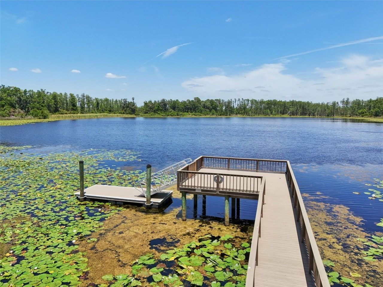 1741 Cherry Walk Road , Lutz, FL 33558 Photo