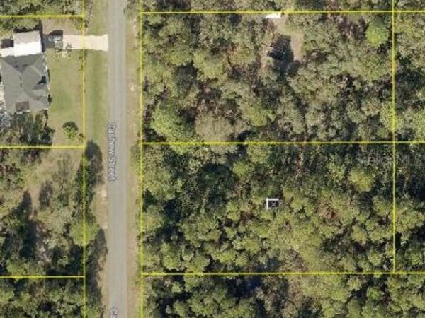 EUSTIS, FL 32736
