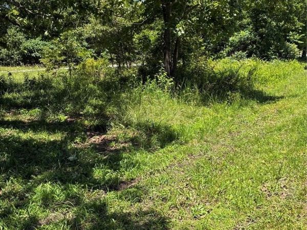 TBD E Highway , Grandin, MO 63943