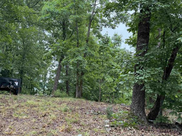 Off Of Morgan Cave Road , Harrison, AR 72601