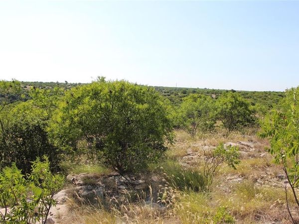 163 Baltrusol Drive , Graford, TX 76449