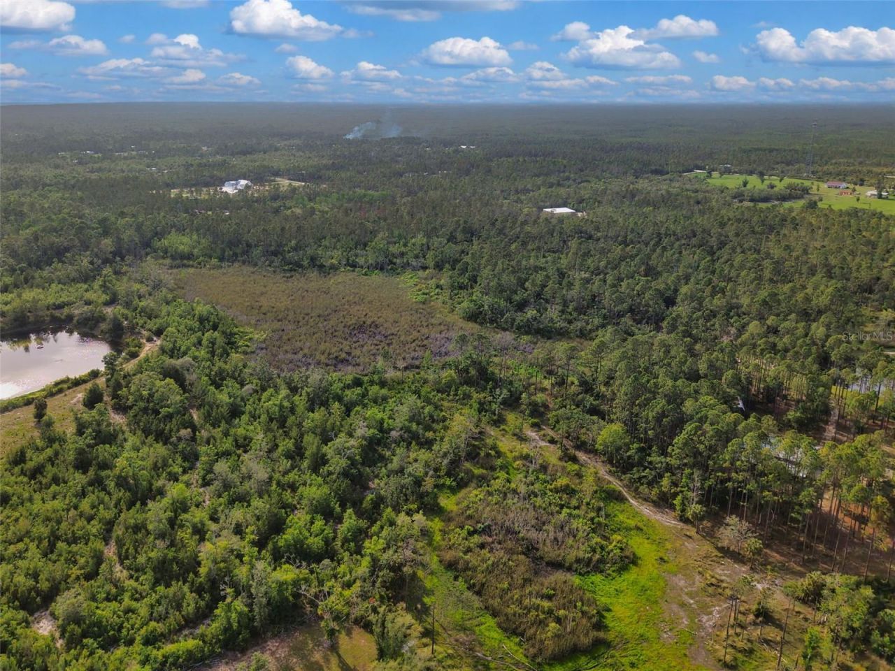 Savanna Lane , Steinhatchee, FL 32359 Photo
