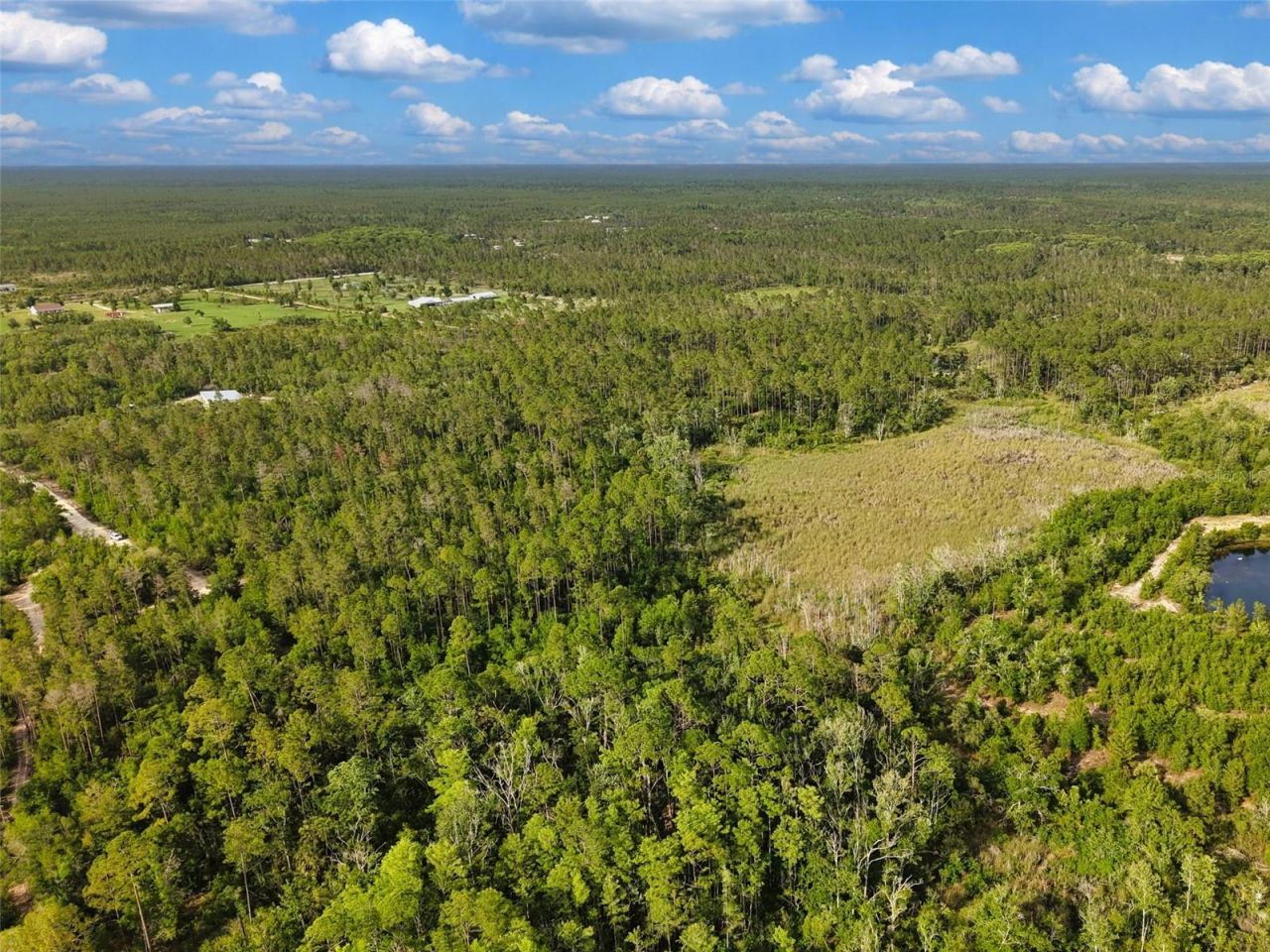 Savanna Lane , Steinhatchee, FL 32359 Photo