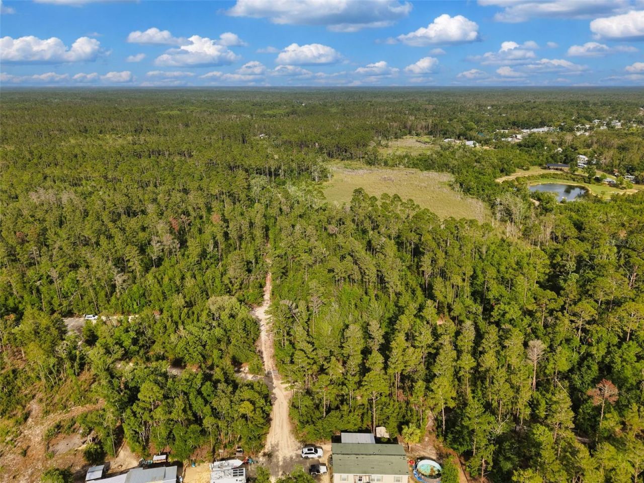 Savanna Lane , Steinhatchee, FL 32359 Photo