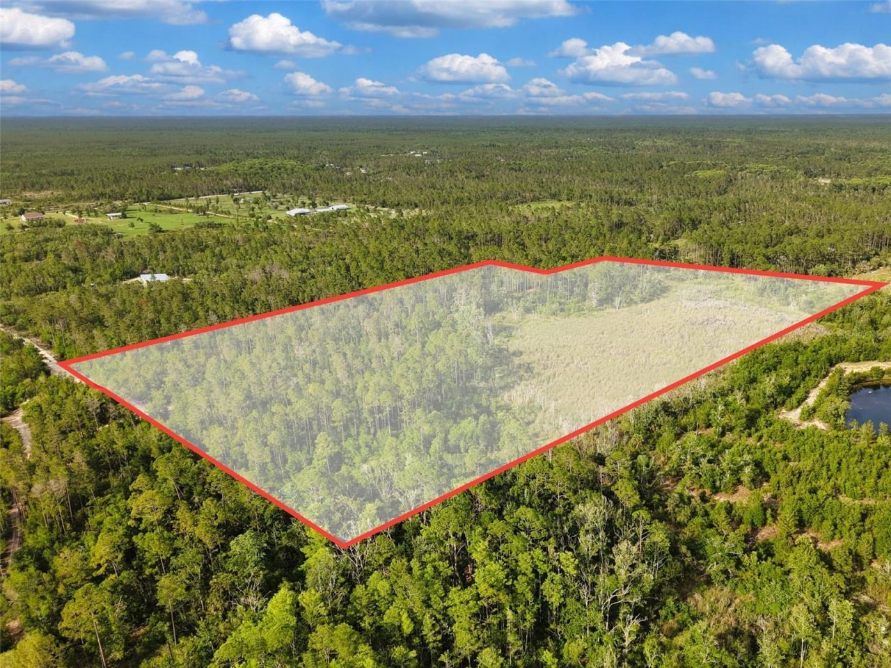 Savanna Lane , Steinhatchee, FL 32359 Photo