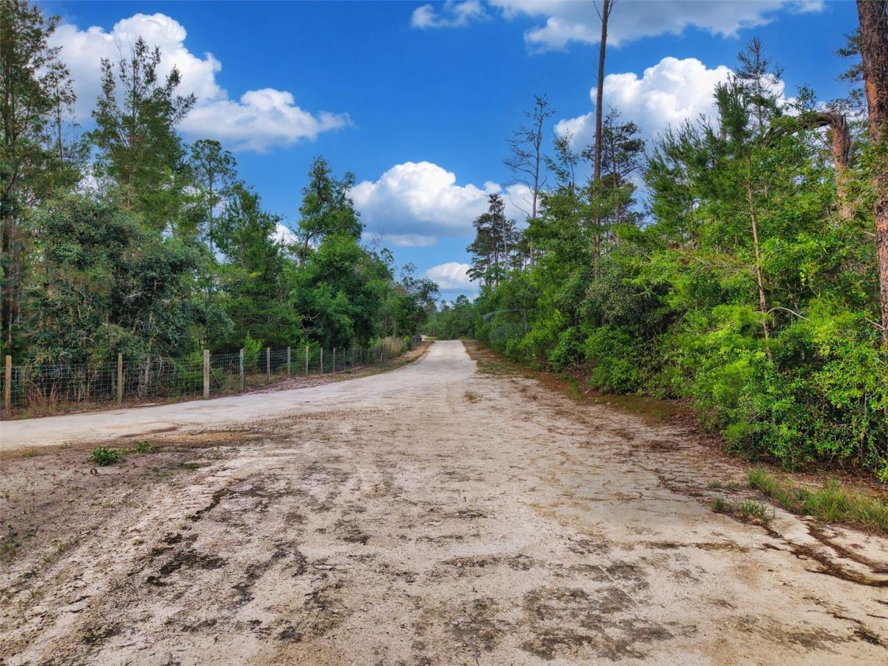 Savanna Lane , Steinhatchee, FL 32359 Photo