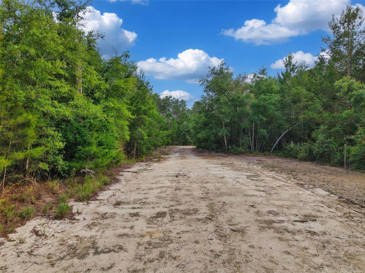 Savanna Lane , Steinhatchee, FL 32359 Photo