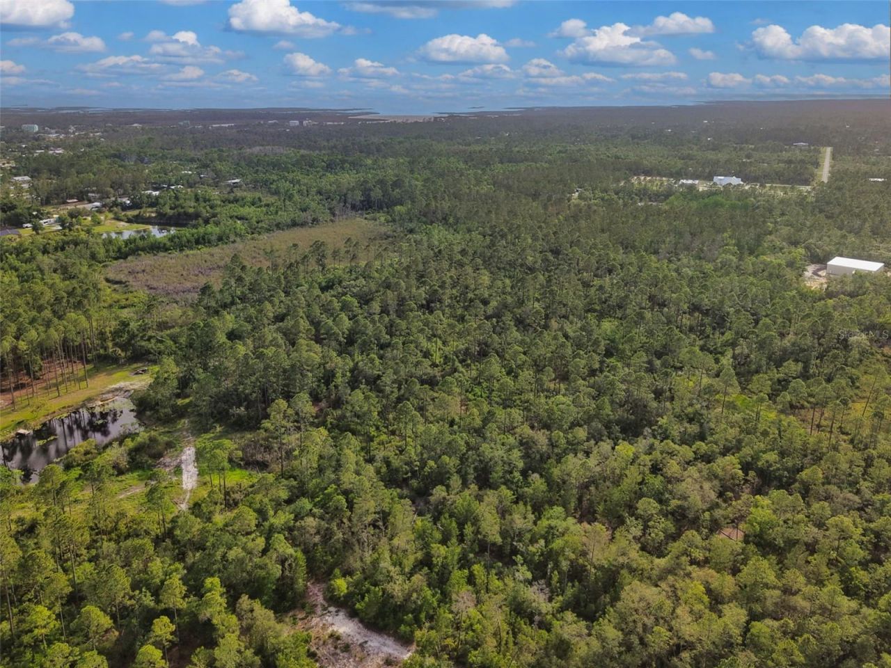 Savanna Lane , Steinhatchee, FL 32359 Photo