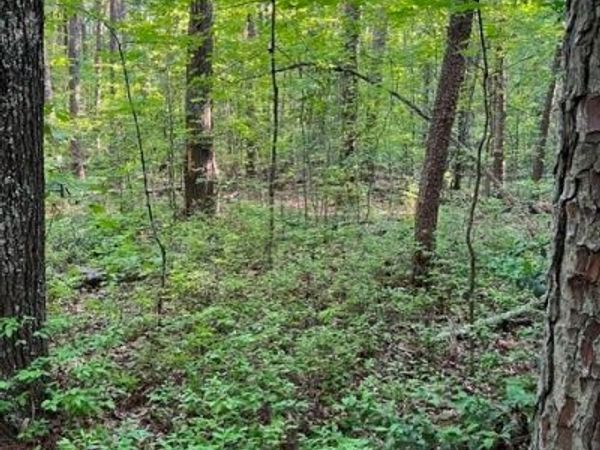 16117 W Patrick Henry Road, Montpelier, VA 23192