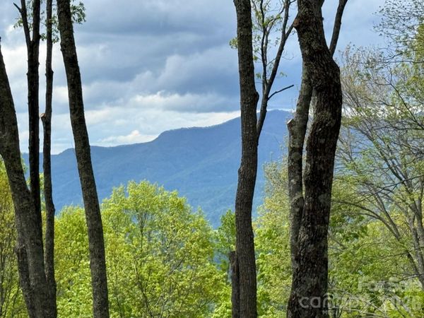 1817 E Reach Road , Sylva, NC 28779