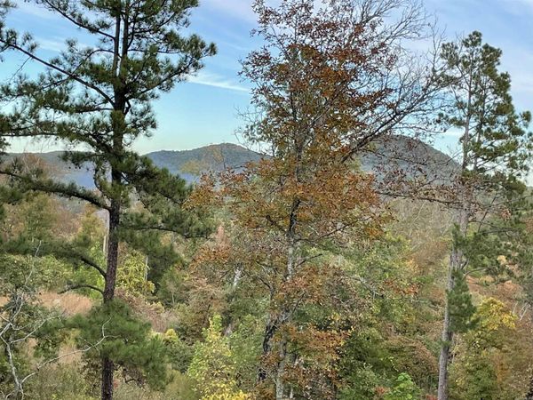 850 Jones Cemetery Road , Calico Rock, AR 72519