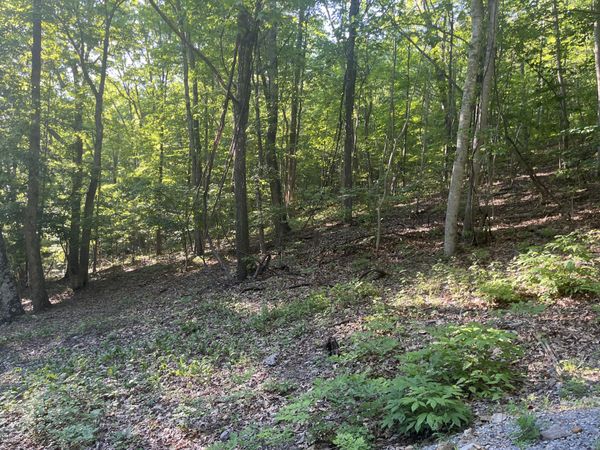 34 Wild Wood Ridge, Caldwell, WV 24925