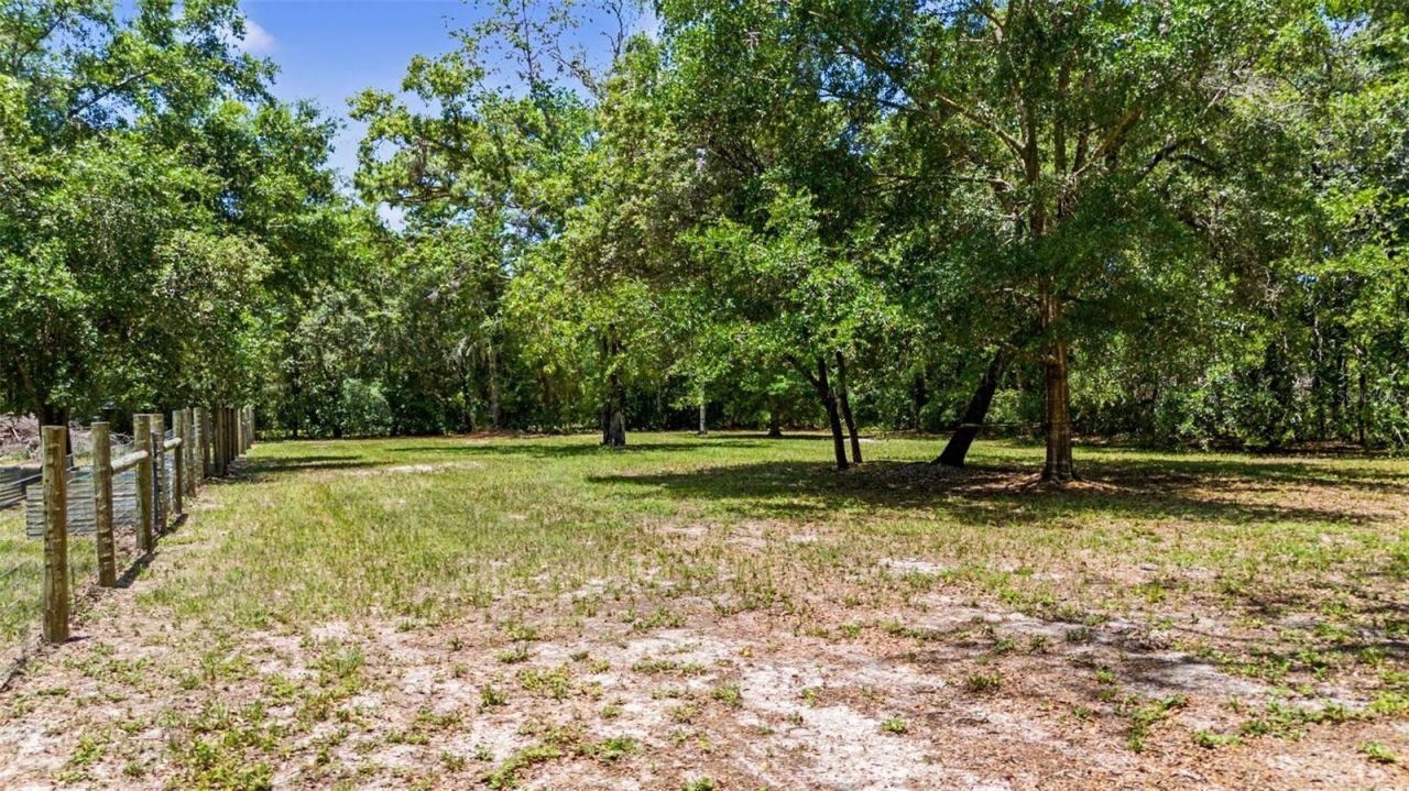 10933 Pinto Drive, Hudson, FL 34669 Photo