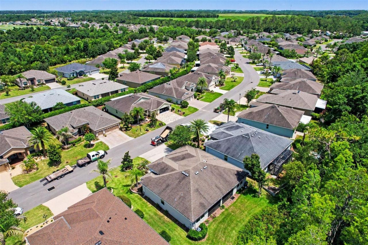 10202 Hyannisport Loop, San Antonio, FL 33576 Photo
