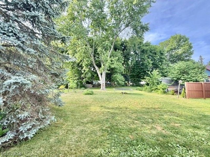 926 Arch Street, Salem, OH 44460 Photo 34