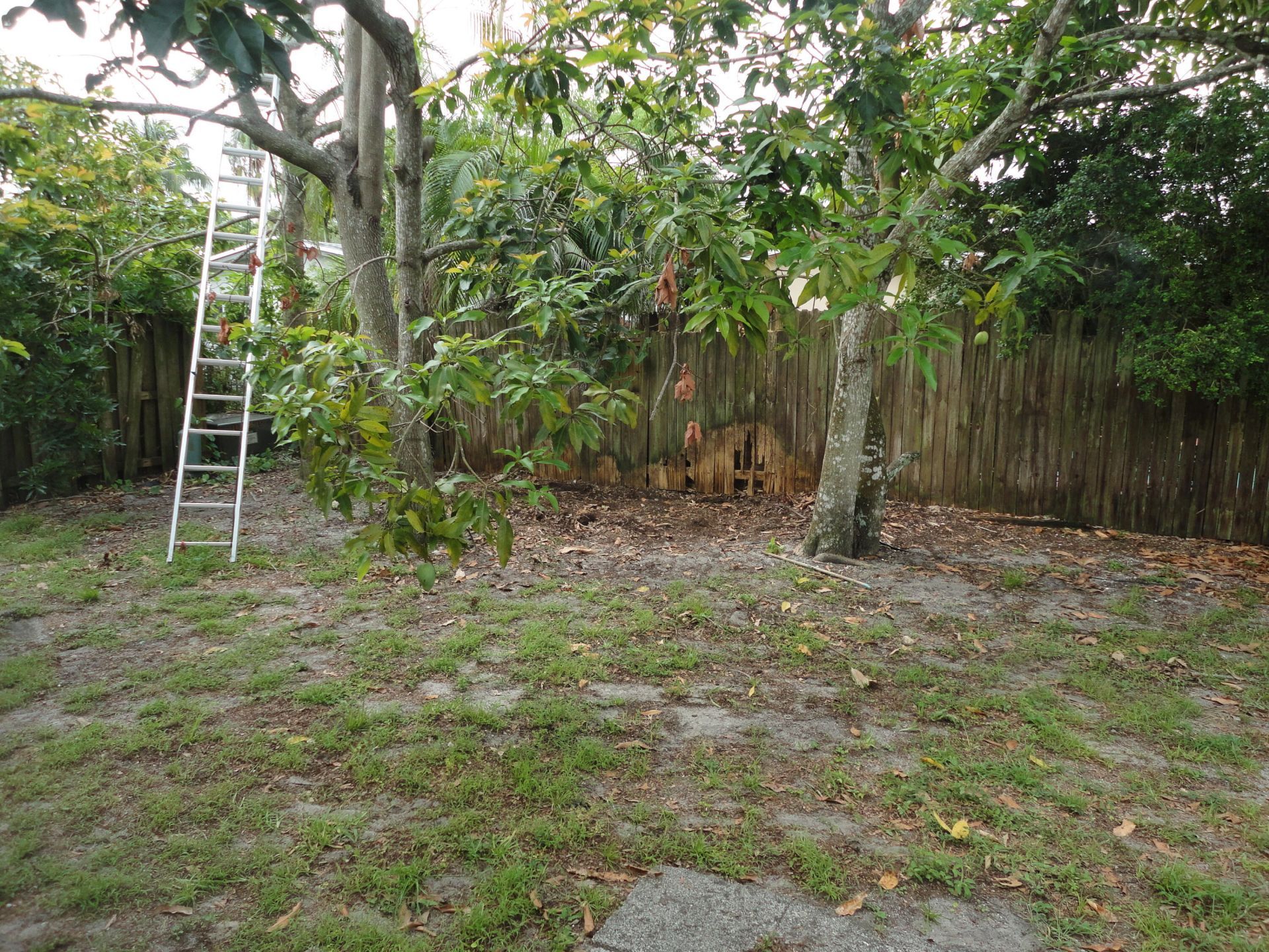 7814 NW 1st Court Nw, Margate, FL 33063 Photo