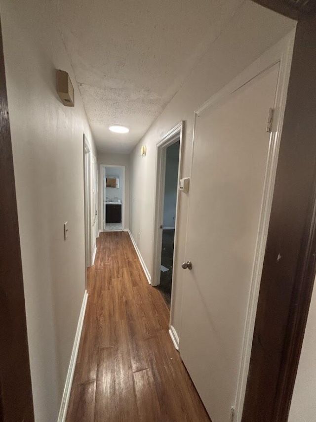 206 Longleaf Road Photo 11