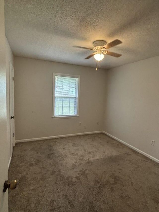 206 Longleaf Road Photo 14