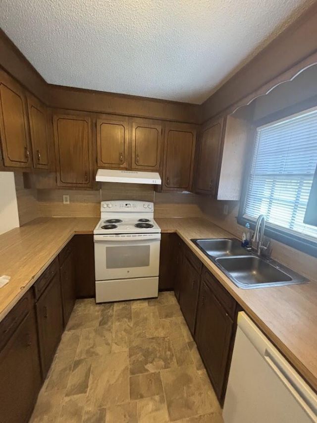 206 Longleaf Road Photo 7