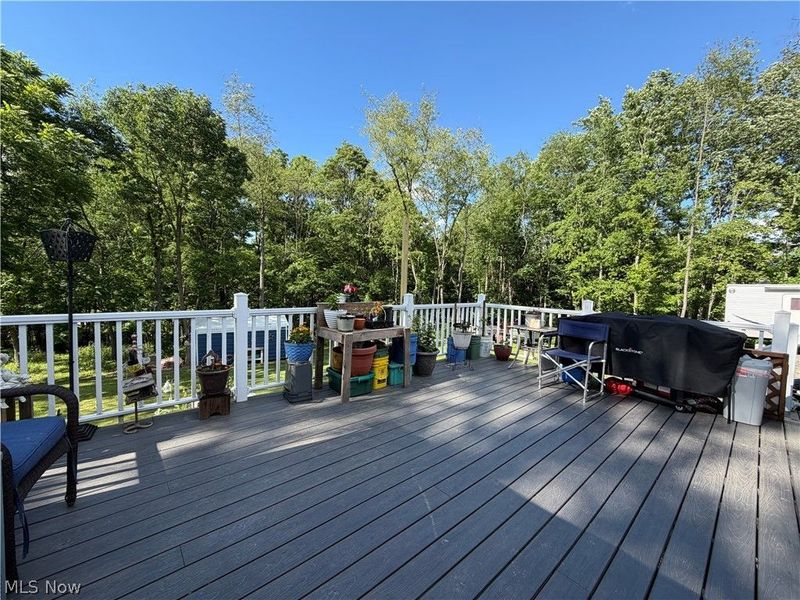 301 46th Street SW, Canton, OH 44706 Photo 35