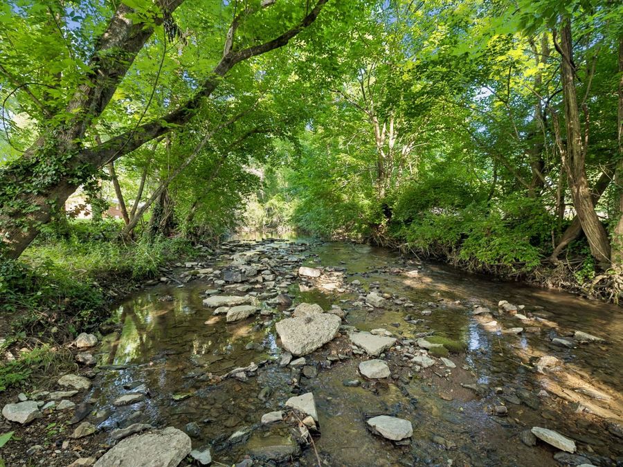 Property Image 60