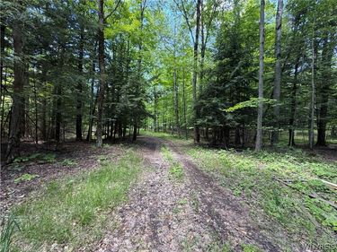 13800 Pritchard Road , Springville, NY 14141