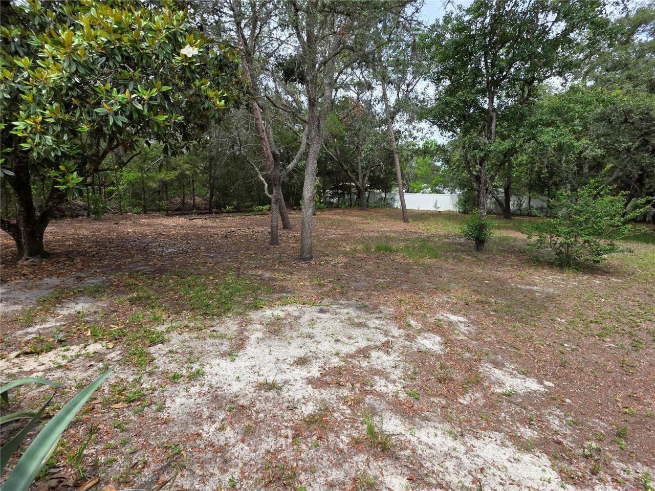 17839 Monteverde Drive , Spring Hill, FL 34610 Photo