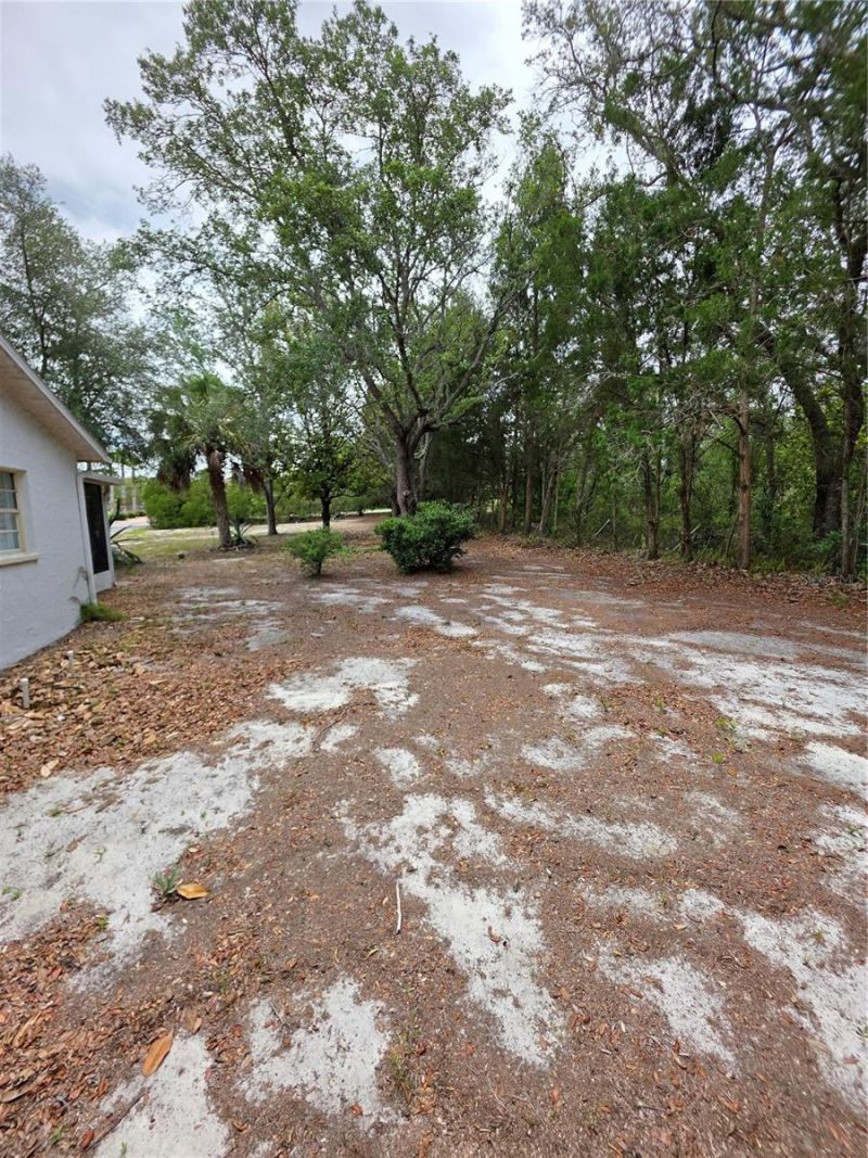 17839 Monteverde Drive , Spring Hill, FL 34610 Photo