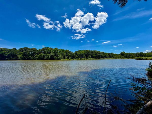 40.37 AC SMYRNA RD, Somerville, TN 38068