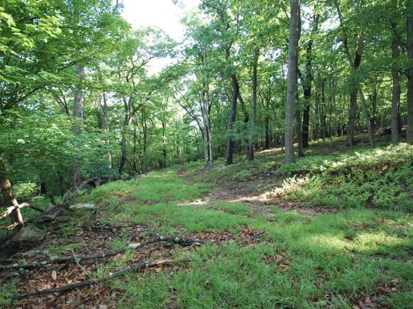 Lot 23 Long Lick Run Road, Baker, WV 26801