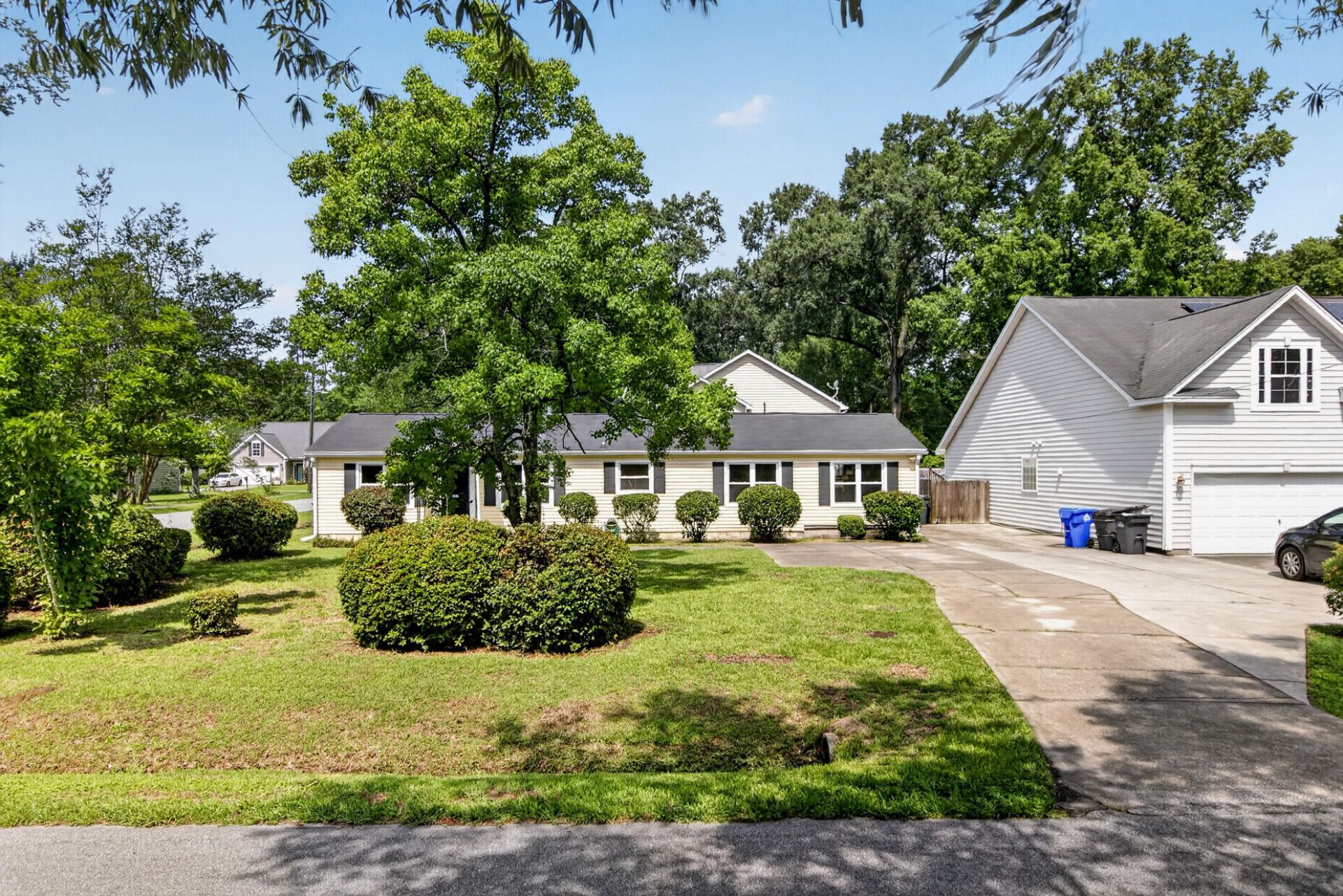 8805 Antler Drive Photo 41